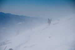 地吹雪のような