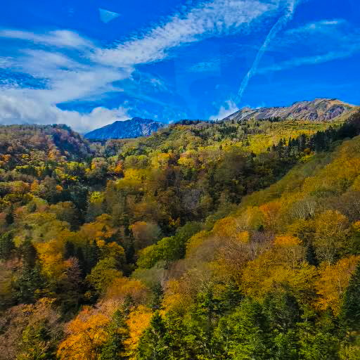 青空と山と紅葉と