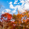青空と雲と紅葉と