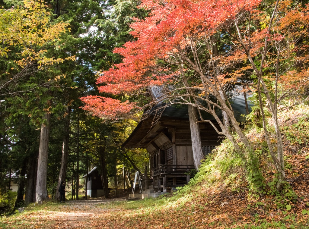 火之御子社の紅葉