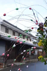 春の予感