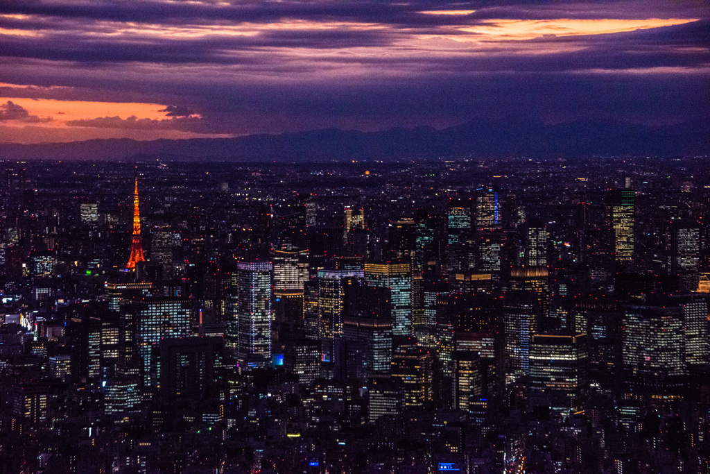 夕暮れの東京