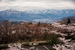 武甲山を眺めて