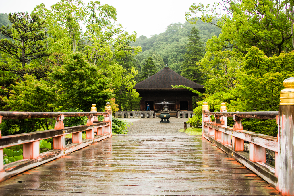 雨の願成寺 白水阿弥陀堂