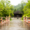 雨の願成寺 白水阿弥陀堂