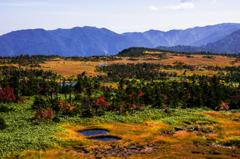 湿原の紅葉