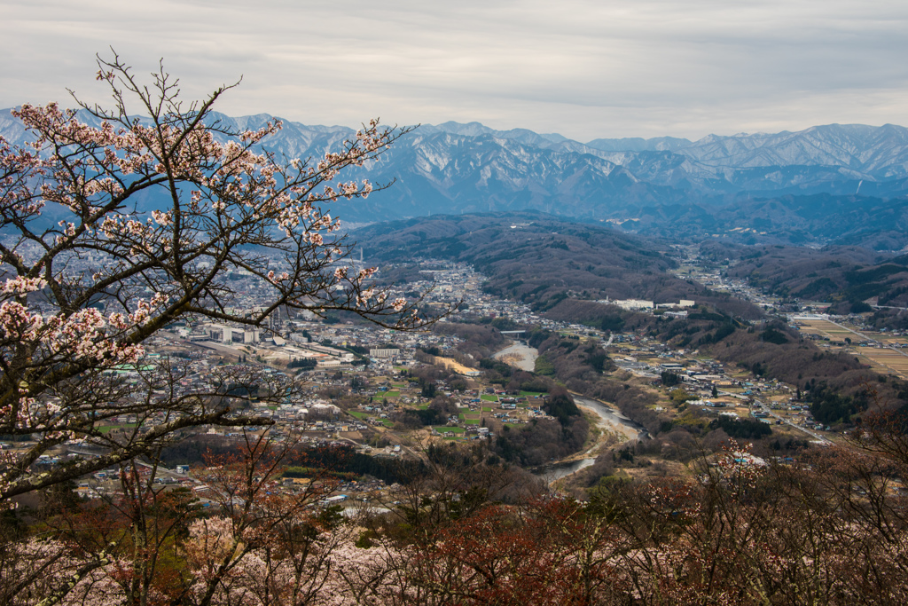 荒川の流れ