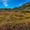 草紅葉と白馬岳