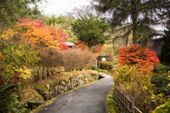 宿場外れの紅葉