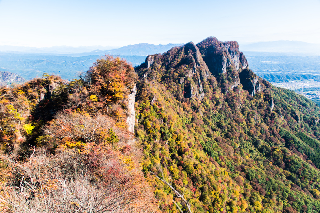 鷹戻しの頭から