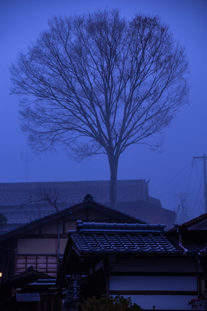 雨に煙る