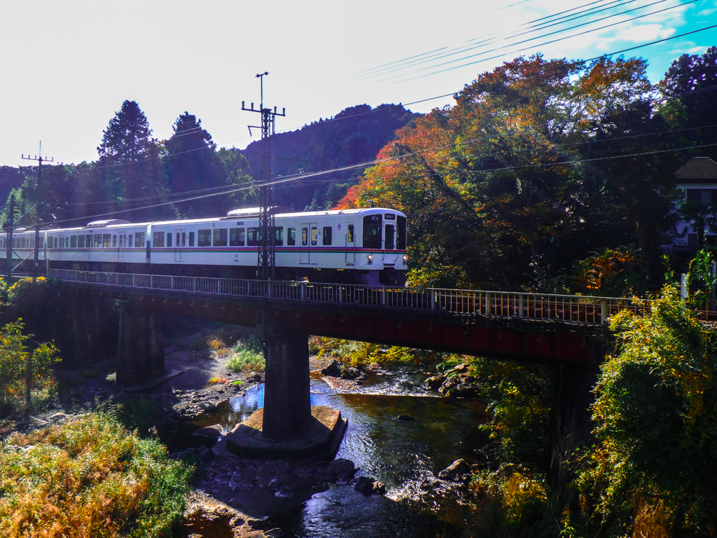 紅葉の中を列車が行く