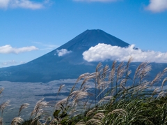 すすきと雲と富士山と