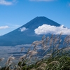 すすきと雲と富士山と