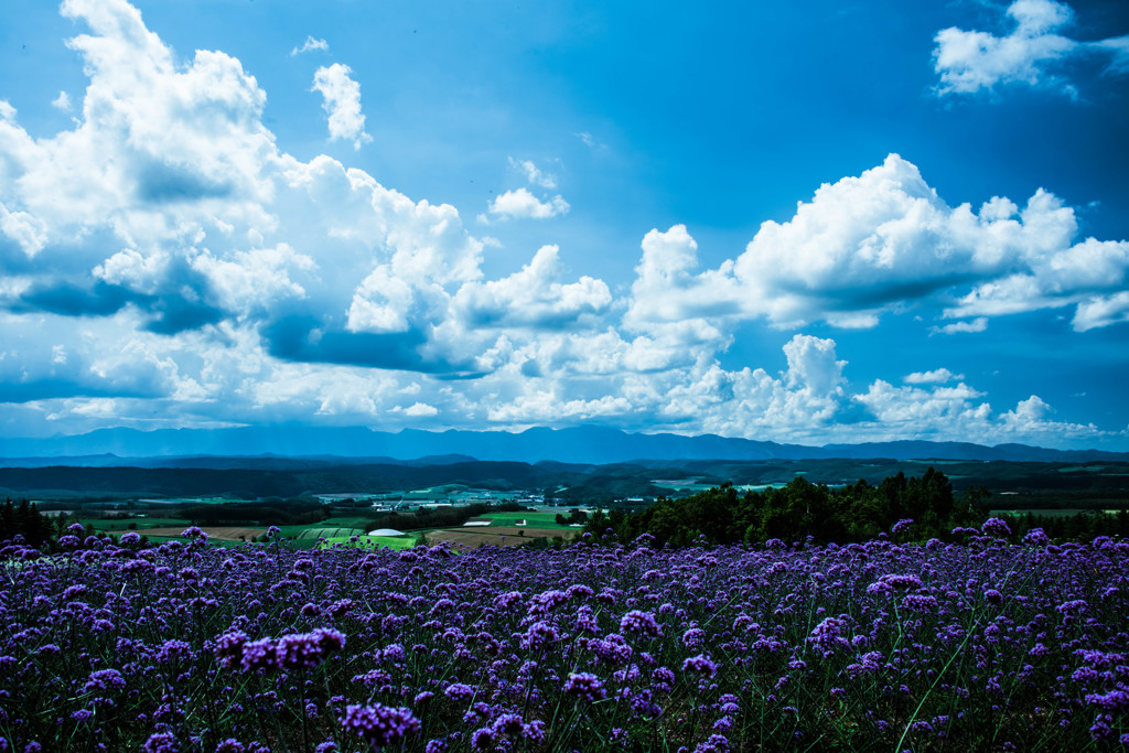 麓郷の空