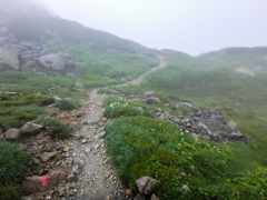 龍王岳のトラバース道