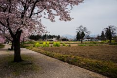 春の風景