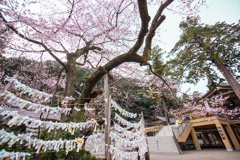 祈りて結びし