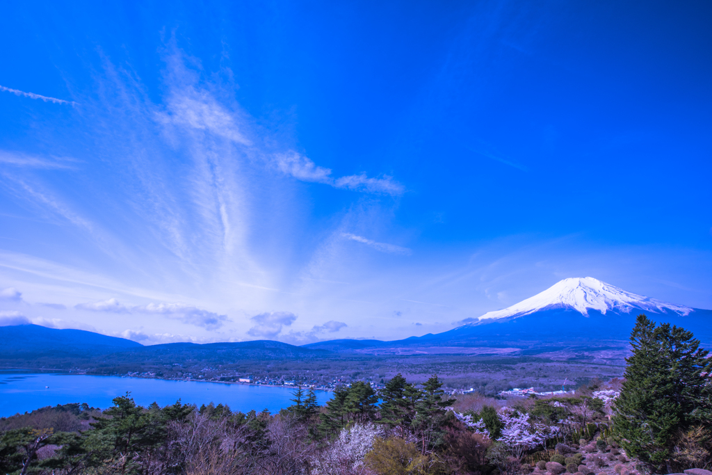 春の朝