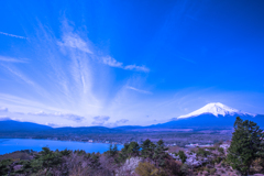 春の朝