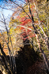 紅葉の尾根道