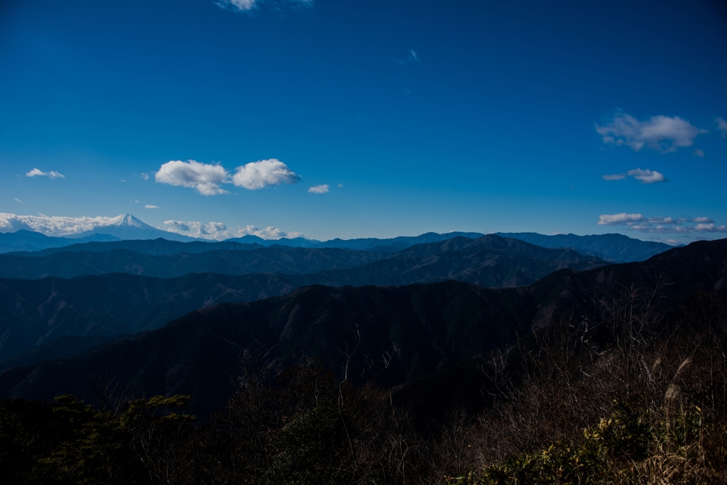 富士を望んで