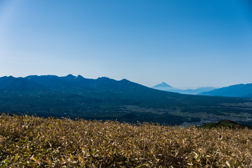 朝の光の八ヶ岳と富士
