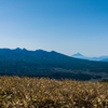 朝の光の八ヶ岳と富士