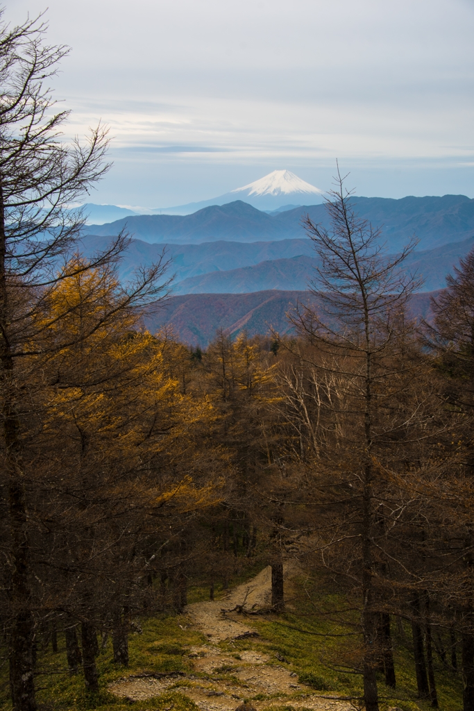 富士の見える坂道