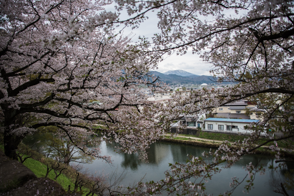 桜の窓から山を眺める