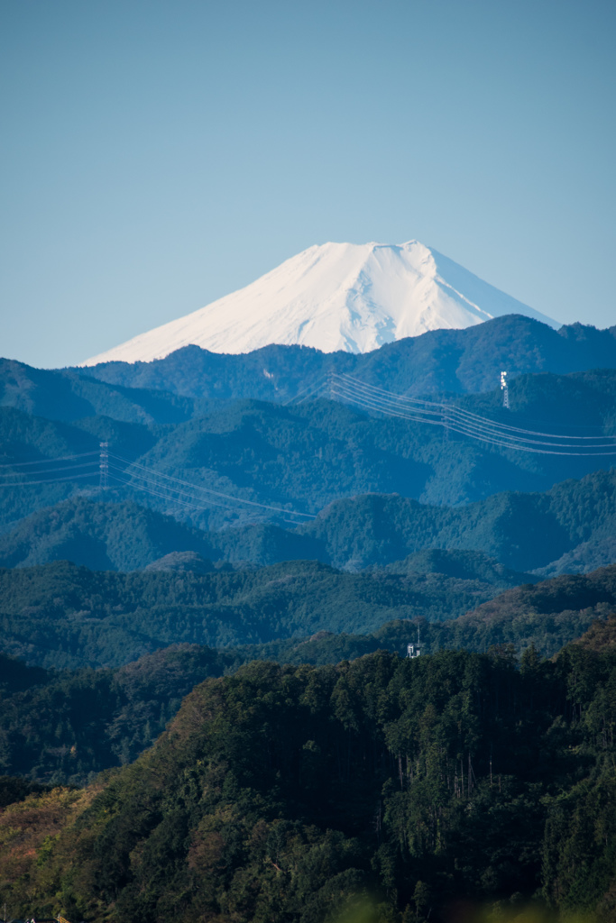 雪の富士