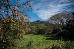 秋の日和田