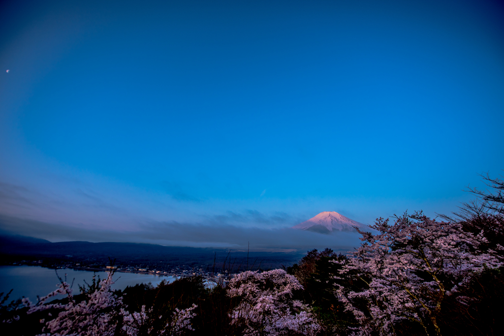 月と湖水と富士山と桜
