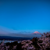 月と湖水と富士山と桜