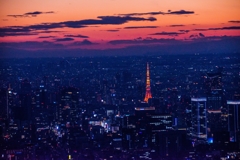 東京タワーのある風景