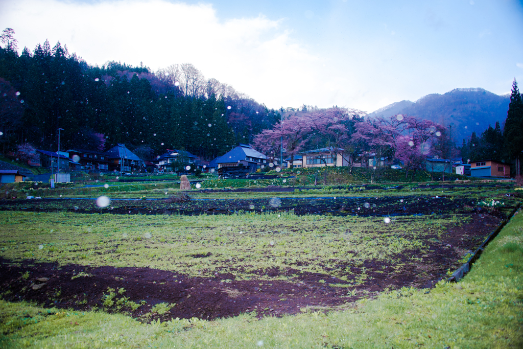 雪の舞う野平地区