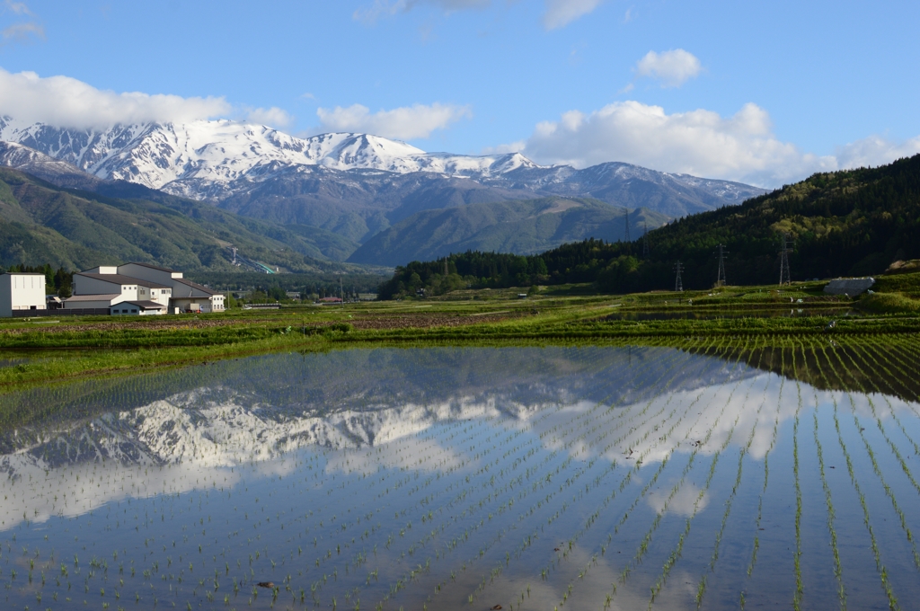 田園
