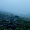 霧につつまれて