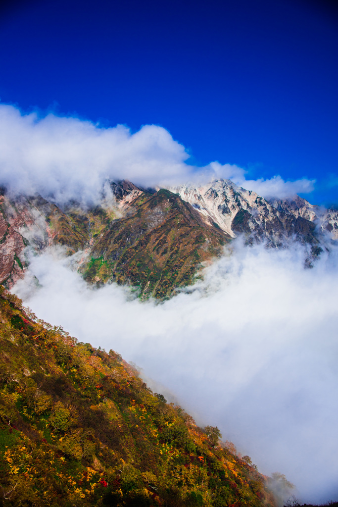 白馬鑓の雲