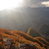 紅葉の谷に光が降る
