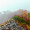 色づきの尾根道