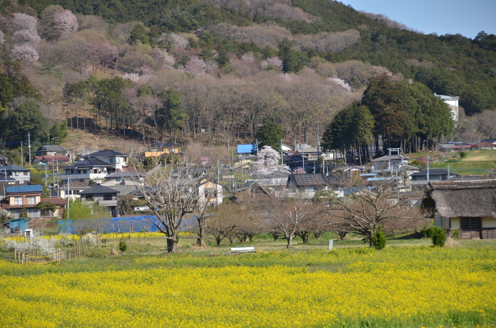 故郷の春Ⅱ