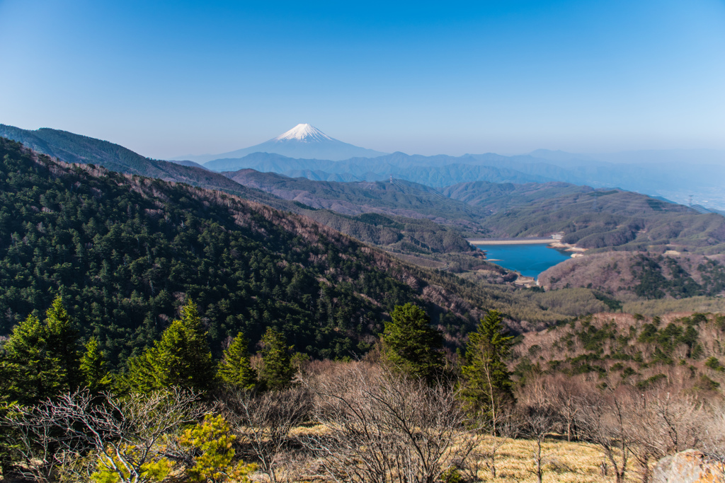 春まだ浅き