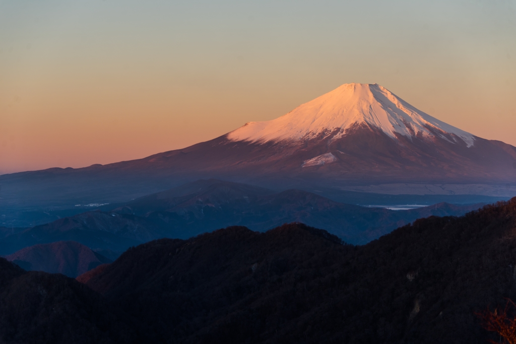 朝の光りを浴びて