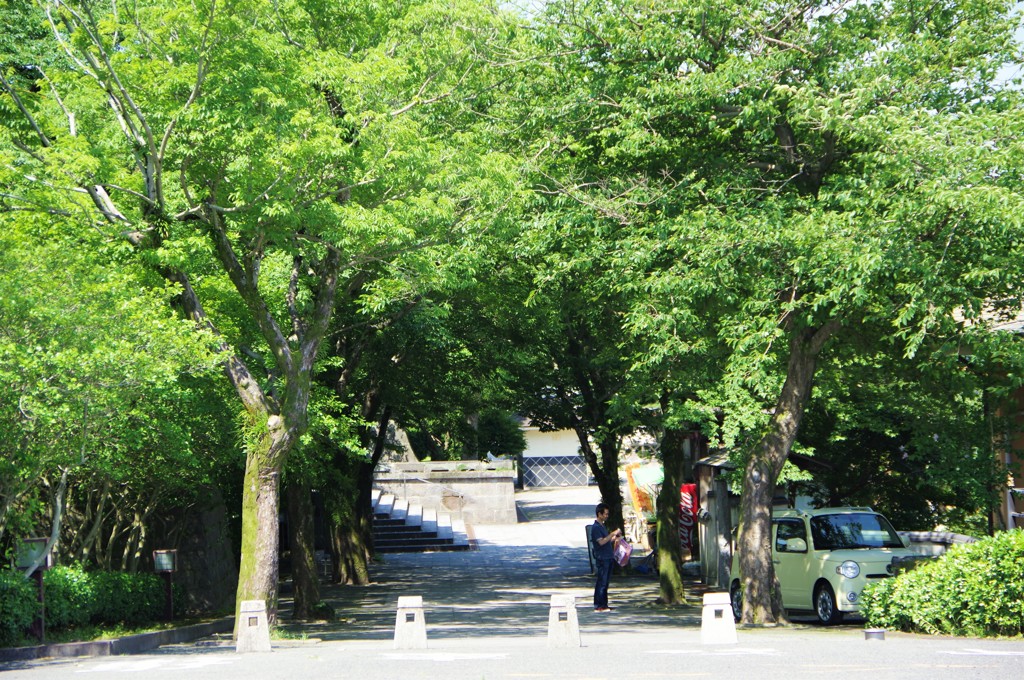 南洲神社