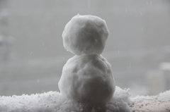 鹿児島に大雪！！！