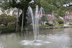 DPP_0012