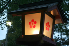 DPP_0019