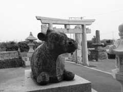 牛と鳥居
