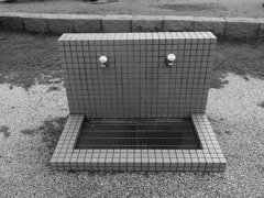 顔
